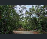 thumbnail-lot-232-white-beech-road-cow-bay-daintree-qld-4873-1