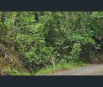 thumbnail-lot-232-white-beech-road-cow-bay-daintree-qld-4873-8