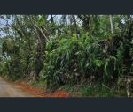 thumbnail-lot-232-white-beech-road-cow-bay-daintree-qld-4873-2