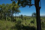 thumbnail-corner-tralee-waines-road-mount-walker-west-qld-4340-10