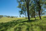 thumbnail-corner-tralee-waines-road-mount-walker-west-qld-4340-11