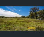 thumbnail-2493-sandy-creek-road-gulgong-nsw-2852-7