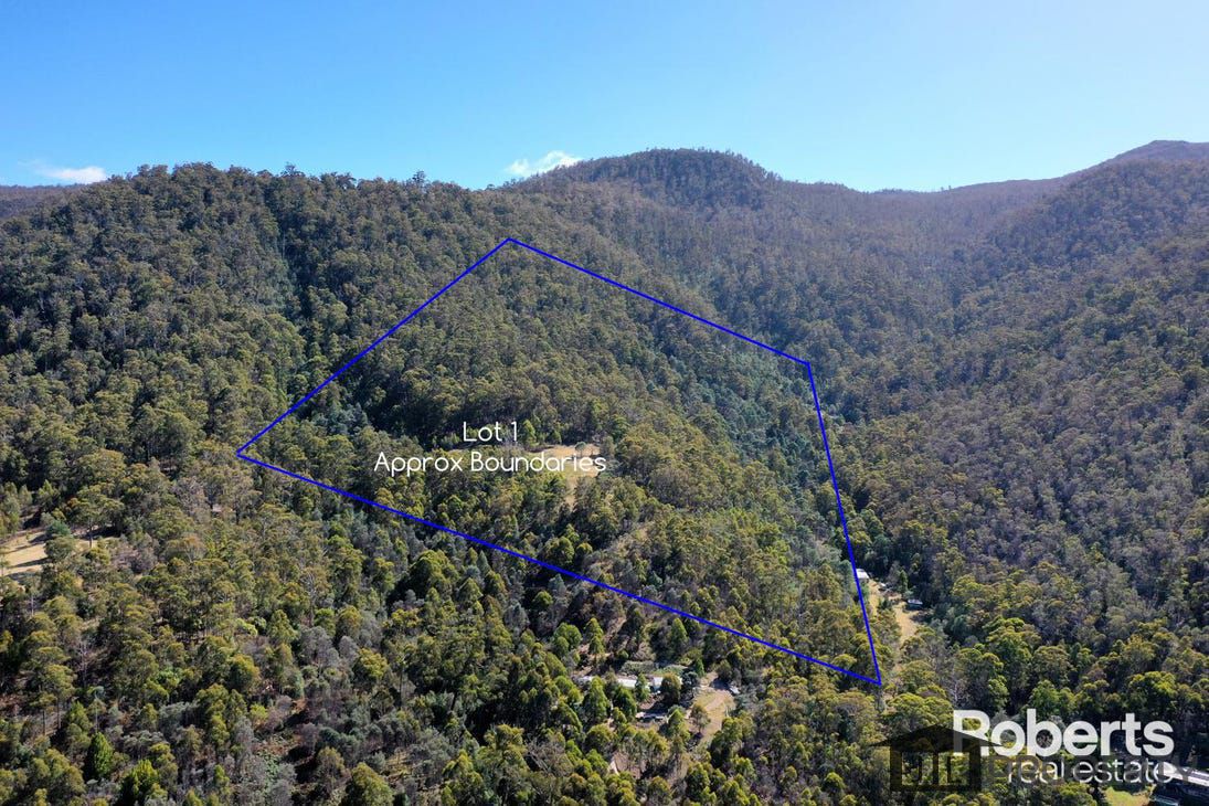 Lot 1 & 2, 320 Blackwells Road, Magra, Tas 7140
