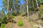 thumbnail-lot-1-2-320-blackwells-road-magra-tas-7140-6