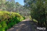 thumbnail-lot-1-2-320-blackwells-road-magra-tas-7140-8