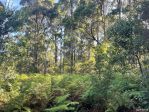 thumbnail-lot-2-bridport-road-pipers-river-tas-7252-2