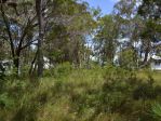 thumbnail-28-florence-street-macleay-island-qld-4184-2