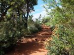 thumbnail-lot-828-sardinia-place-hammond-park-wa-6164-11