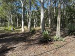 thumbnail-7-wirralee-street-macleay-island-qld-4184-2