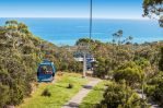 thumbnail-14-caldwell-road-dromana-vic-3936-5