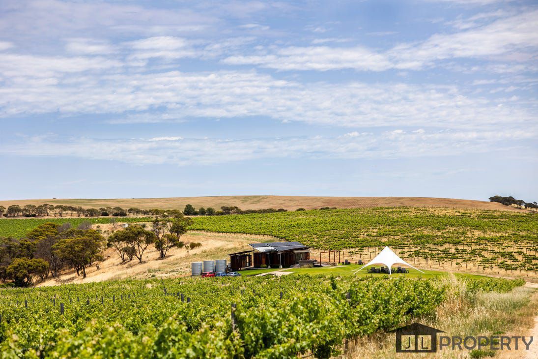 695 California Road, McLaren Vale, SA 5171