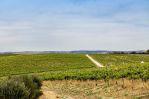 thumbnail-695-california-road-mclaren-vale-sa-5171-8