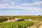 thumbnail-695-california-road-mclaren-vale-sa-5171-0