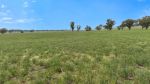 thumbnail-52-attunga-drive-torquay-vic-3228-3