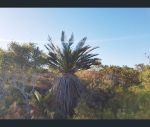 thumbnail-lot-304-304-premier-drive-jurien-bay-wa-6516-5