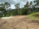 thumbnail-lot-17-206-209-morrison-road-cedar-creek-qld-4520-7