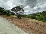 thumbnail-lot-17-206-209-morrison-road-cedar-creek-qld-4520-10