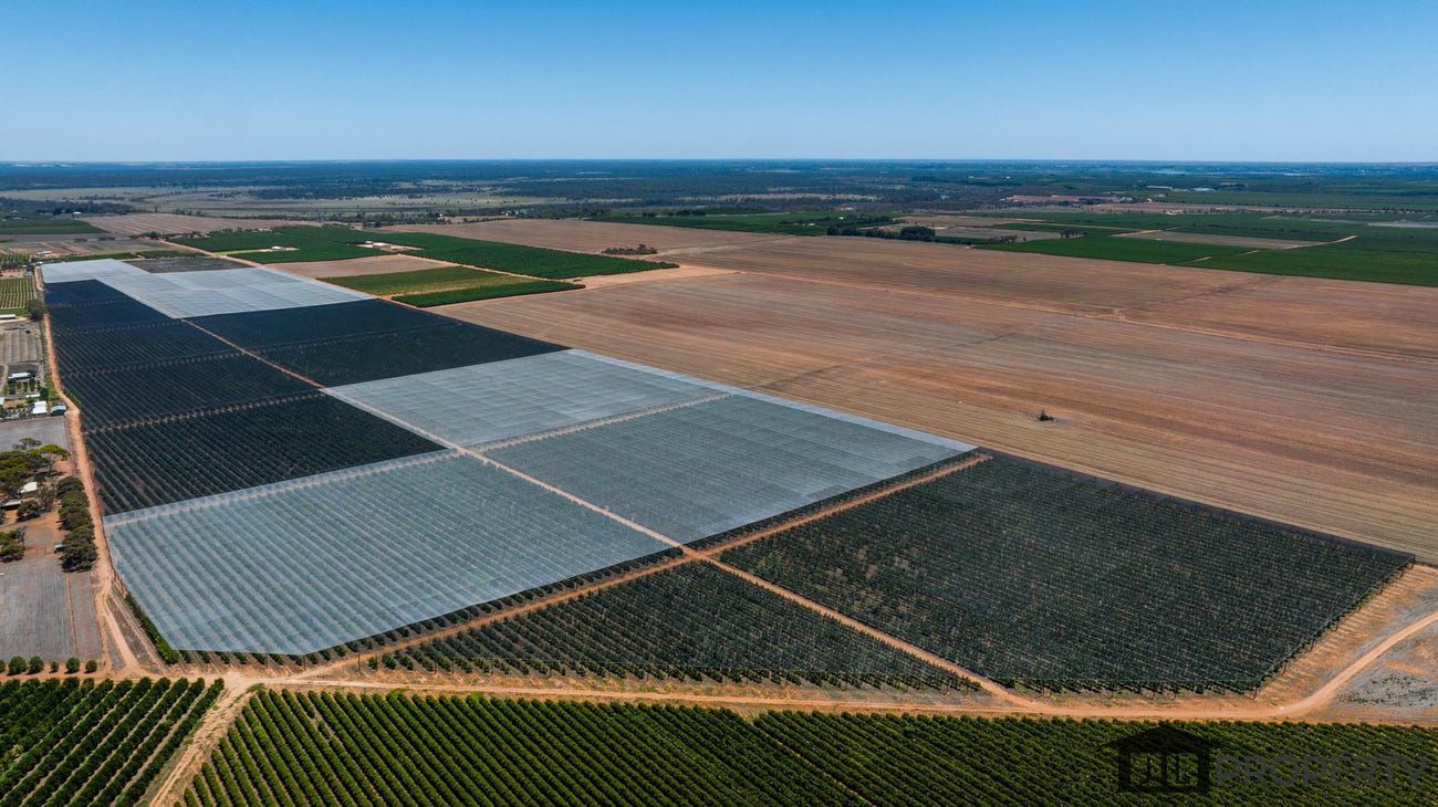 345 Anderson Road, Loxton North, SA 5333