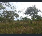 thumbnail-110-monck-road-acacia-hills-nt-0822-4