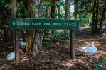 thumbnail-7-churchill-street-palmwoods-qld-4555-6