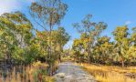 thumbnail-173-mcclymonts-road-kenthurst-nsw-2156-14