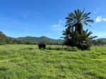 thumbnail-lot-2-stony-creek-road-stony-creek-qld-4514-4