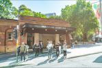 thumbnail-suite-508-267-castlereagh-streetsydney-nsw-2000-10