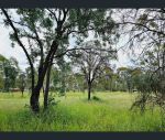 thumbnail-683-gatton-esk-road-adare-qld-4343-2