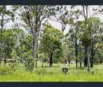 thumbnail-683-gatton-esk-road-adare-qld-4343-8