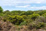 thumbnail-lot-3-phoques-bay-road-egg-lagoon-tas-7256-11