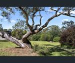 thumbnail-23-kellow-street-sutton-grange-vic-3448-11