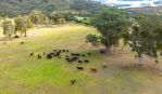 thumbnail-lot-1-mckoy-street-west-wodonga-vic-3690-7