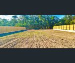 thumbnail-13-wallaman-drive-yarrabilba-qld-4207-2