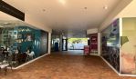 thumbnail-16118-griffith-street-coolangatta-qld-4225-8