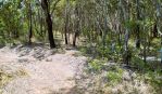 thumbnail-326-364-river-heads-road-booral-qld-4655-5