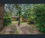 thumbnail-17-19-chadstone-roadmalvern-east-vic-3145-3