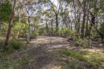 thumbnail-305-323-evans-lookout-road-blackheath-nsw-2785-7