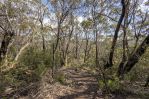 thumbnail-305-323-evans-lookout-road-blackheath-nsw-2785-10