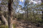 thumbnail-305-323-evans-lookout-road-blackheath-nsw-2785-12